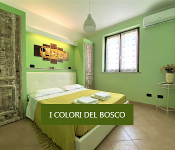 Bed and breakfast Outlet Vicolungo